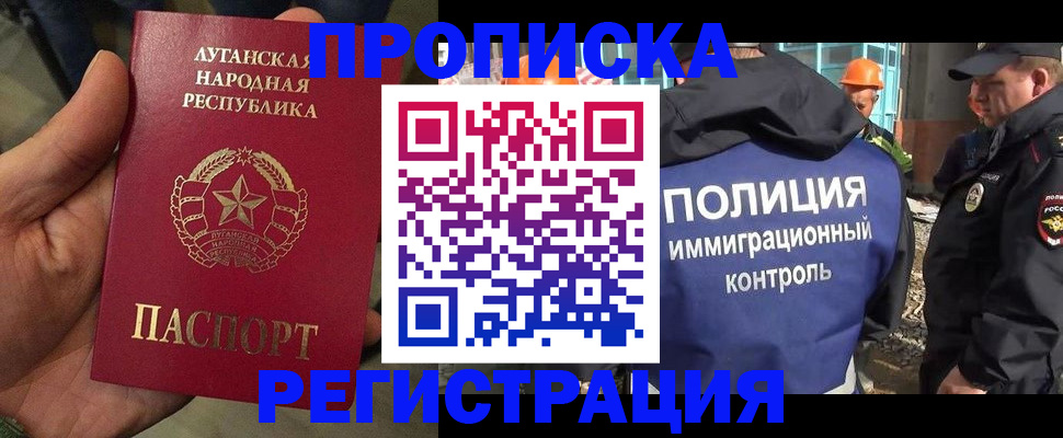 прописка поиск в Железногорске